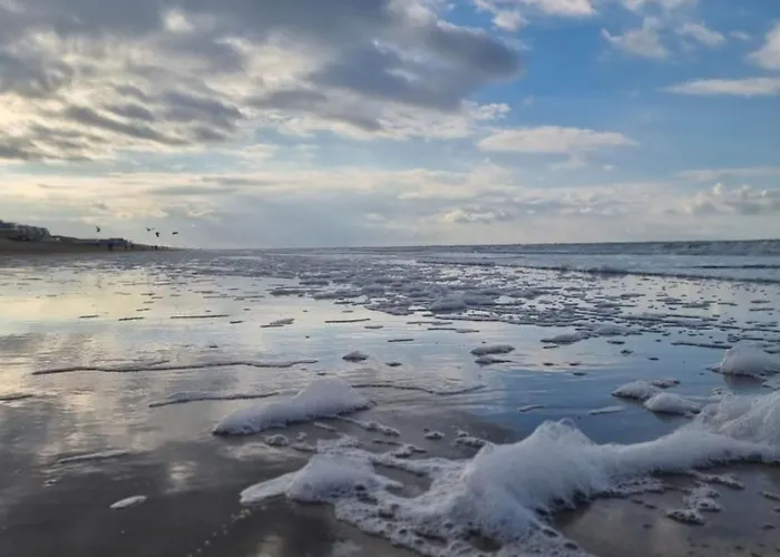 Thuis In Egmond 001 *